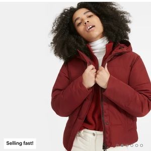 Everlane ReNew Short Puffer
